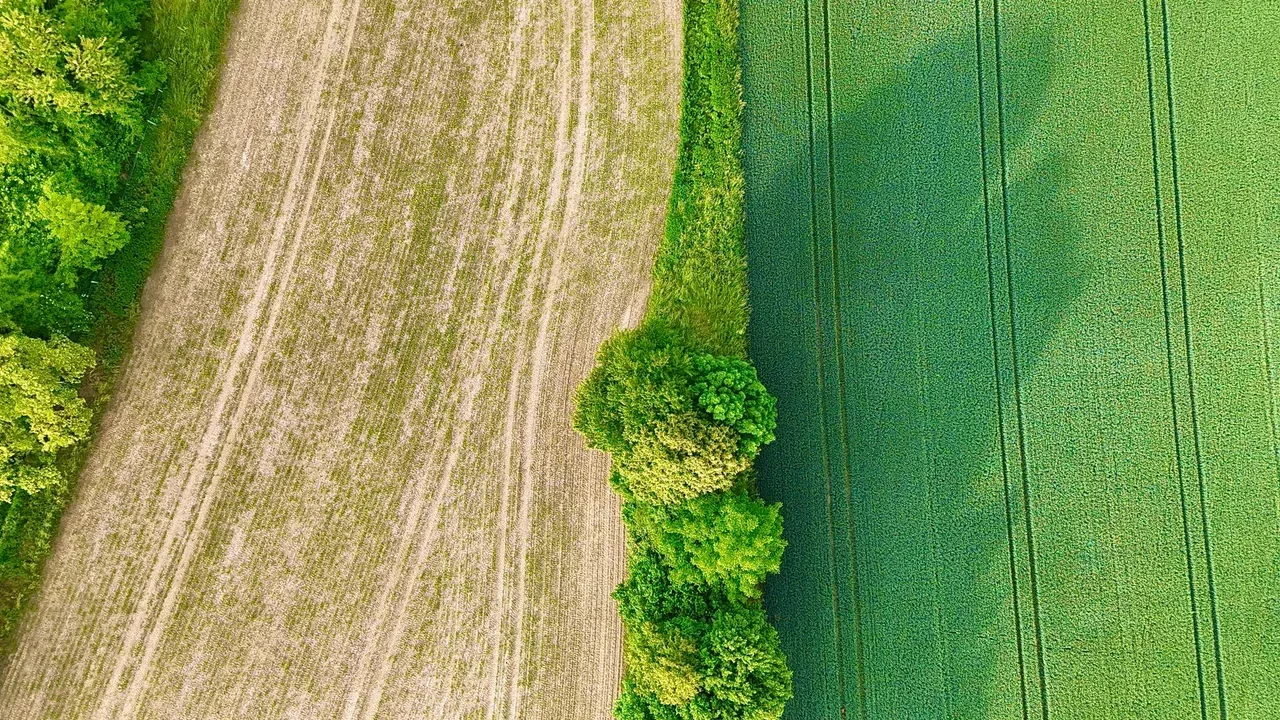 Unbebaute Grundstücksflächen aus der Luft